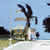 Boats in Eleuthera by Robert M. Cunningham